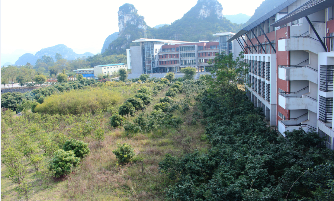 药用植物园全景图