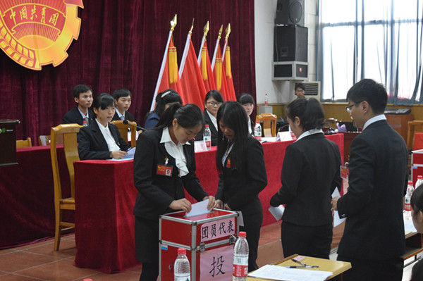 团员代表投票.jpg