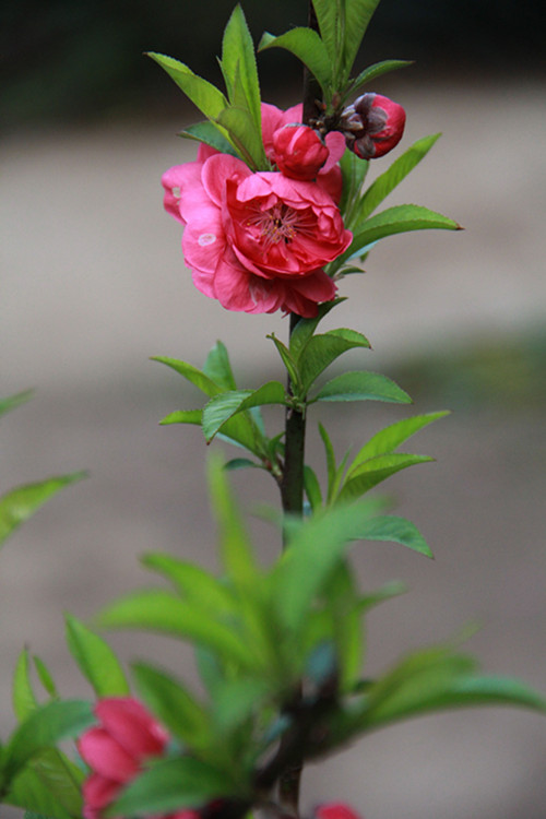 IMG_6210_看图王_副本.jpg
