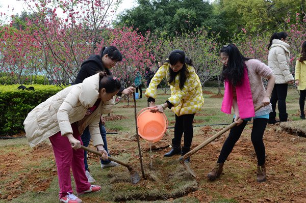2015-3-3植树节活动4.jpg