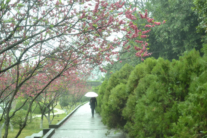 龙宇西,张展豪8.jpg