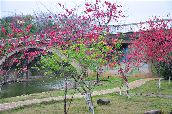 DSC_0675_副本.jpg