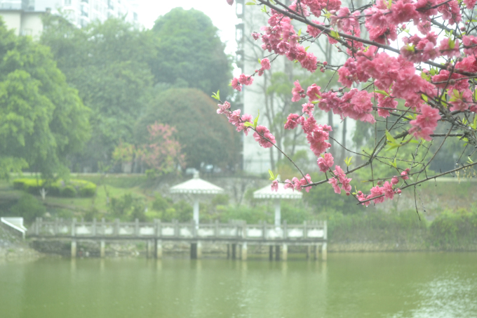 龙宇西,张展豪9.jpg