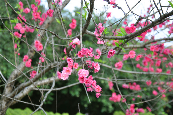 DSC_0664_副本.jpg