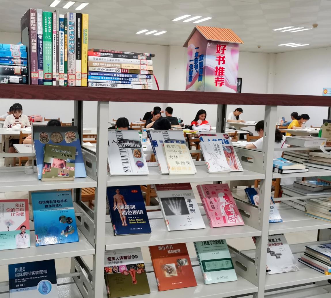 解剖学图书展