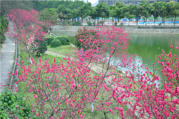 DSC_0679_副本.jpg