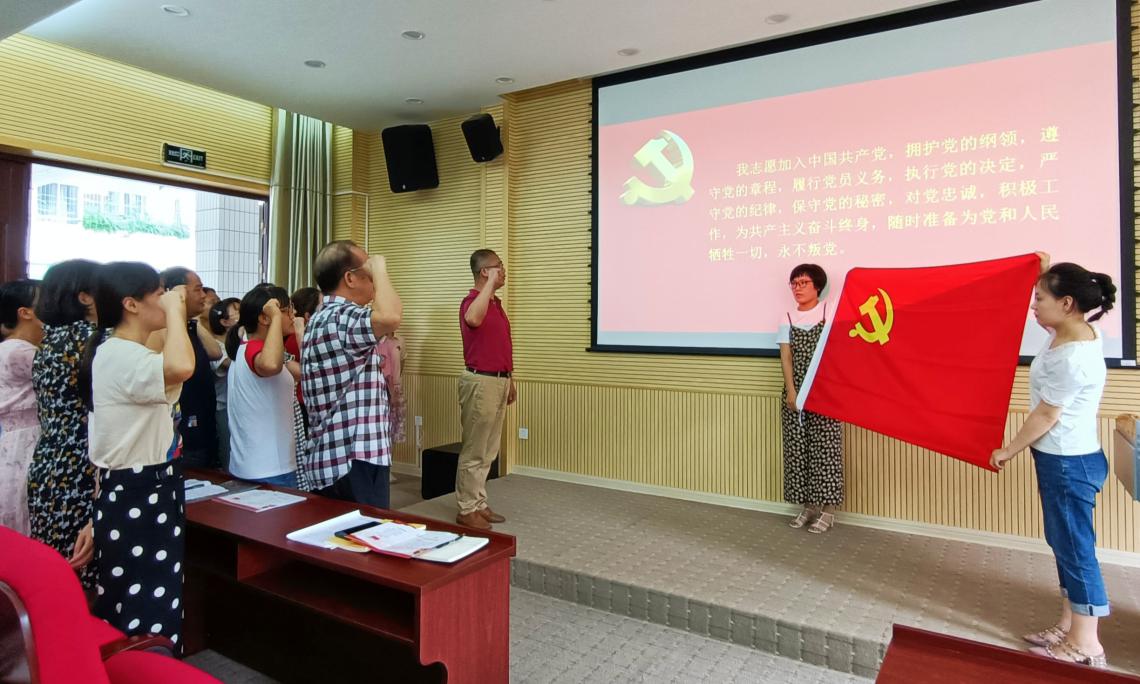 全体党员重温入党誓词