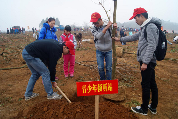 图为土建志愿者植树现场