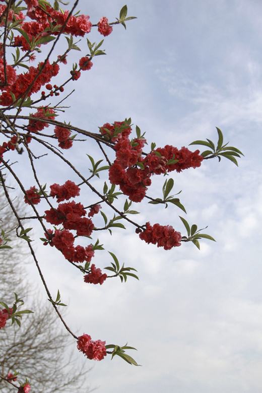 IMG_6263_看图王副本.jpg