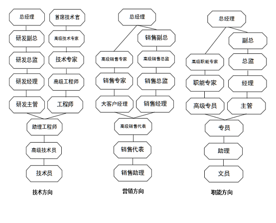 茂硕职位晋升表.png